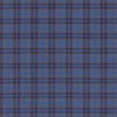 Bedford Check fabric woven by Marton Mills