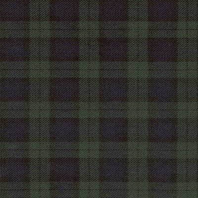 Black Watch ES fabric woven by Marton Mills