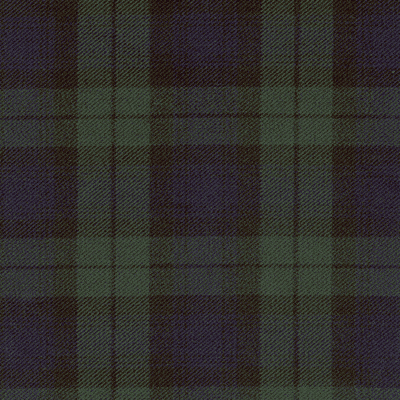 Black Watch (M) fabric woven by Marton Mills