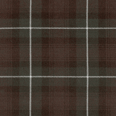 Buccleuch (M) fabric woven by Marton Mills