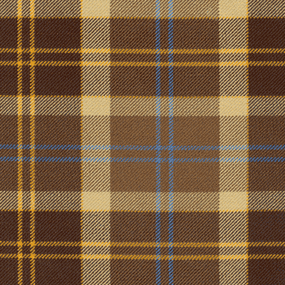 Cladish fabric woven by Marton Mills