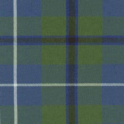 Douglas (A) fabric woven by Marton Mills