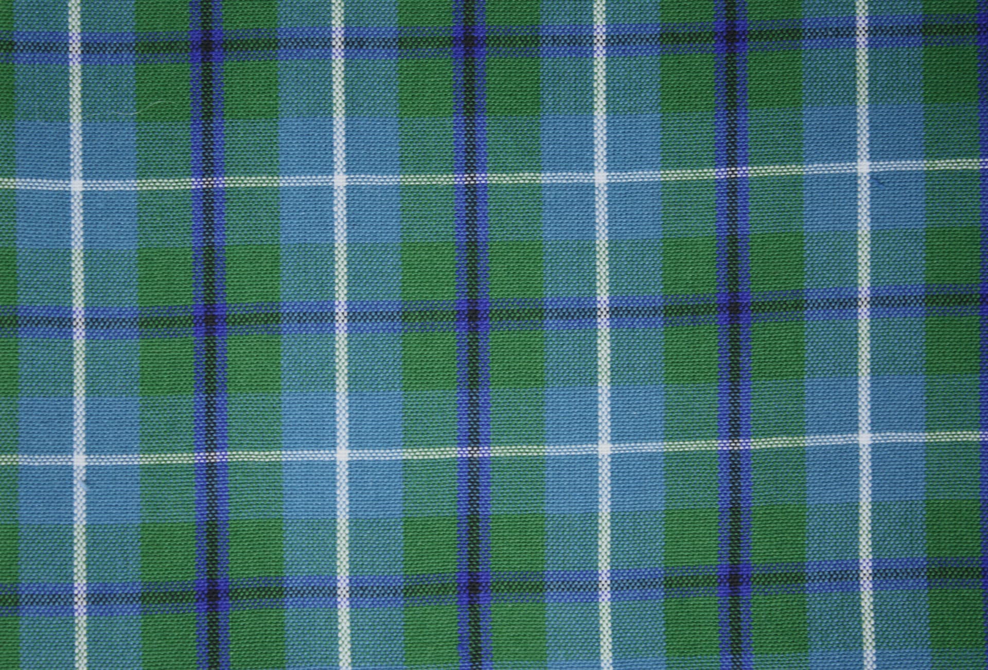 Douglas (A) fabric woven by Marton Mills