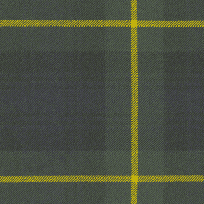 Gordon (M) fabric woven by Marton Mills