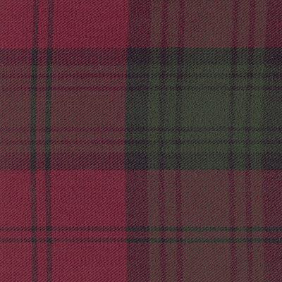 Lindsay (M) fabric woven by Marton Mills