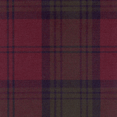 Lindsay (New) (M) fabric woven by Marton Mills