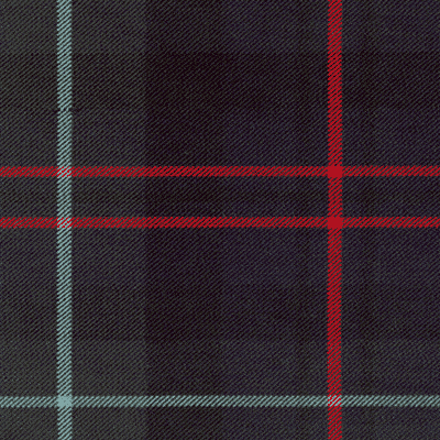 Macintyre (New) (H) fabric woven by Marton Mills