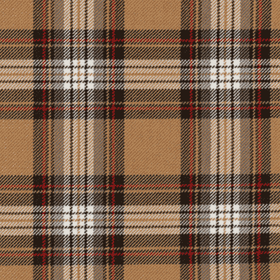 Stewart (M Camel) fabric woven by Marton Mills