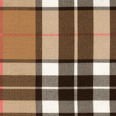 Thomson (M) (Camel) fabric woven by Marton Mills